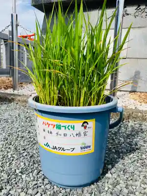 總社 和田八幡宮(福井県)