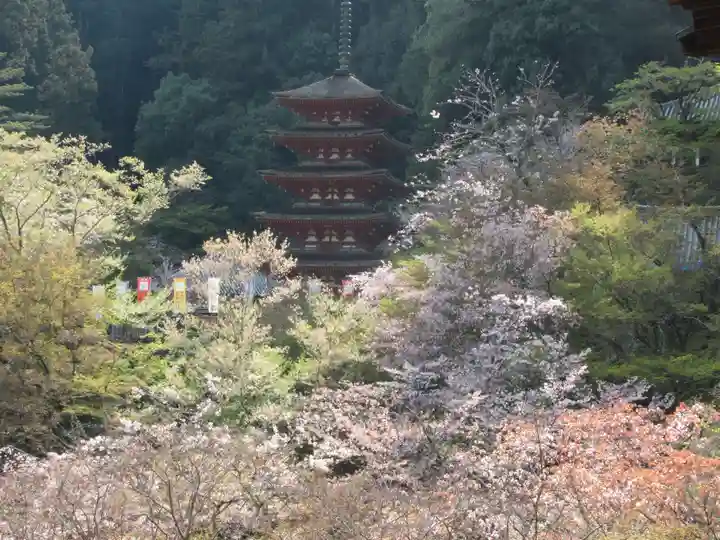 長谷寺(奈良県)