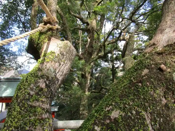 熊野那智大社(和歌山県)