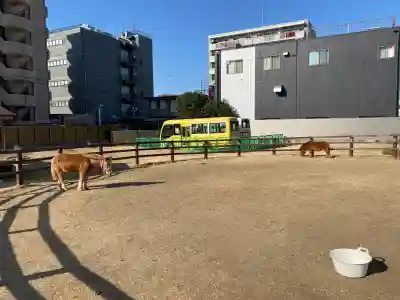 五方山熊野神社の{uncategorized: "未分類", other: "その他", undefined: "問題あり", building: "その他建物", grave: "お墓", sacred_gate: "鳥居", guardian: "狛犬", statue: "像", buddha: "仏像", history: "歴史", nature: "自然", garden: "庭園", animal: "動物", pagoda: "塔", temizu: "手水舎", mountain_gate: "山門・神門", sanctuary: "本殿・本堂", subordinate: "末社・摂社", art: "芸術", scenery: "景色", jizo: "地蔵", ema: "絵馬", goshuin: "御朱印", omikuji: "おみくじ", items: "授与品その他", amulet: "お守り", goshuincho: "御朱印帳", eats: "食事", festival: "お祭り", votive_dance: "神楽", shichigosan: "七五三参", wedding: "結婚式", experience: "体験その他", initially: "初詣", around: "周辺", anti_infection: "感染症対策"}