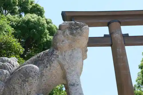 和泉國一之宮　大鳥大社の狛犬