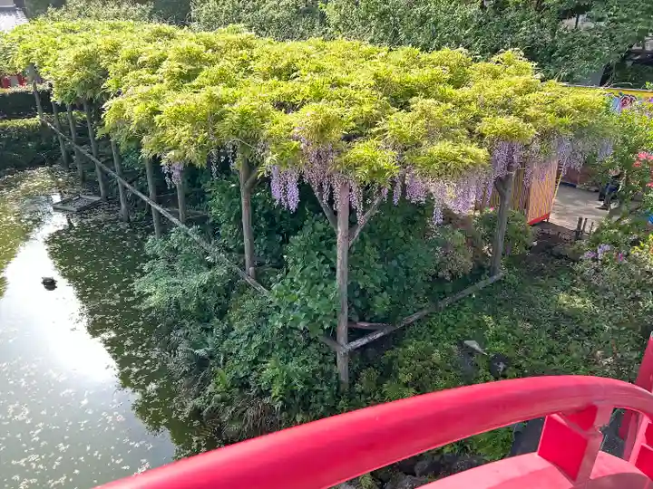 亀戸天神社(東京都)