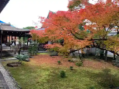 仁和寺の庭園