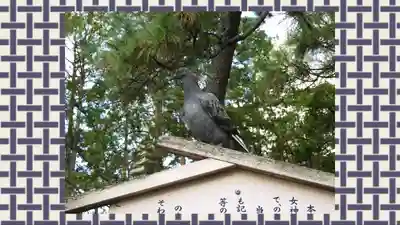 西新井大師総持寺(東京都)