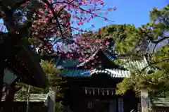 荏原神社の本殿