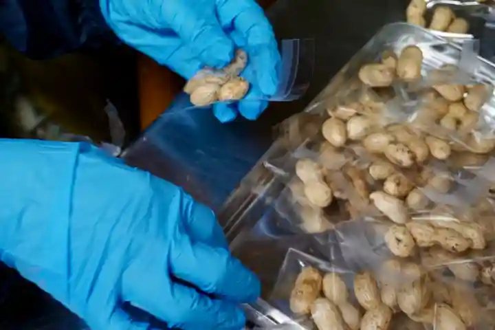 成田山大照寺(北海道)