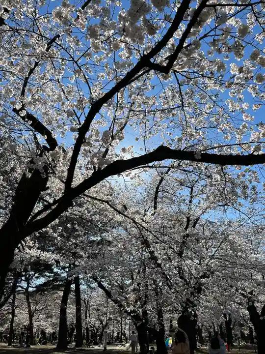 武蔵一宮氷川神社(埼玉県)