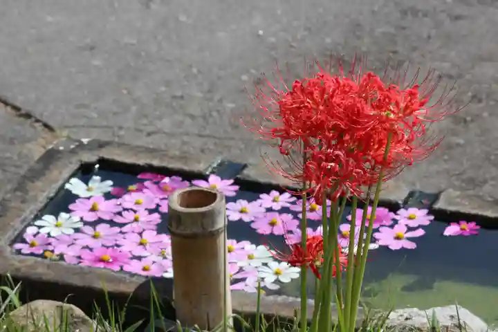 国宝 大法寺の手水舎