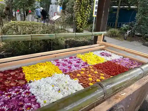 笠間稲荷神社(茨城県)