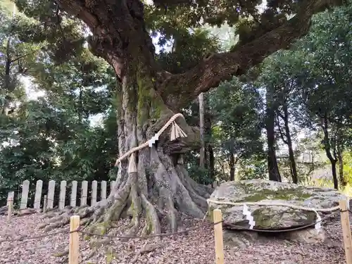 新日吉神宮(京都府)