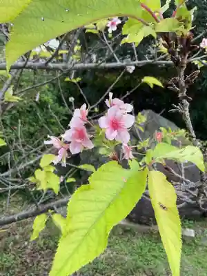 大智院（清水寺大智院）の周辺