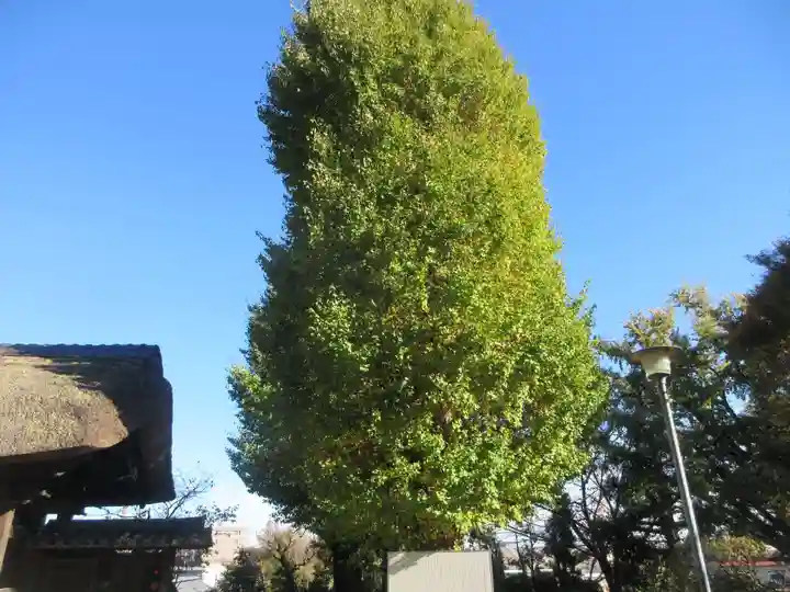 横浜 西方寺(神奈川県)