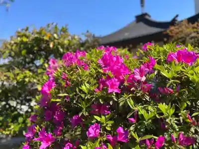 松本山 地福禅寺(滋賀県)