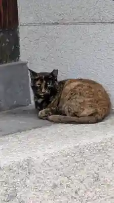 真行寺(大阪府)