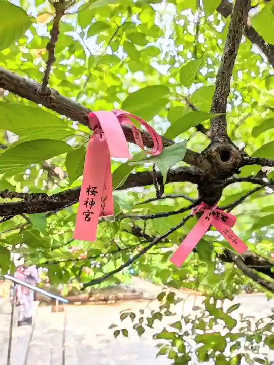桜神宮(東京都)