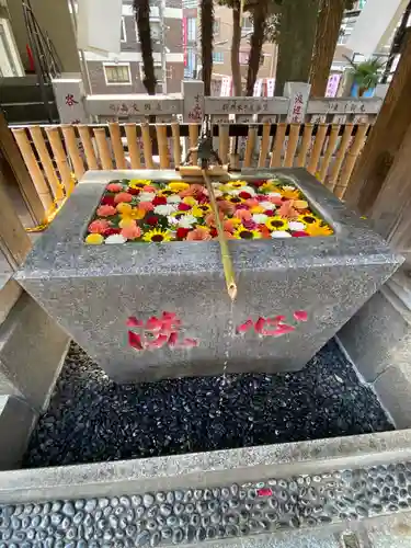 高円寺氷川神社の手水