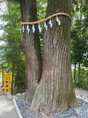 聖神社(埼玉県)