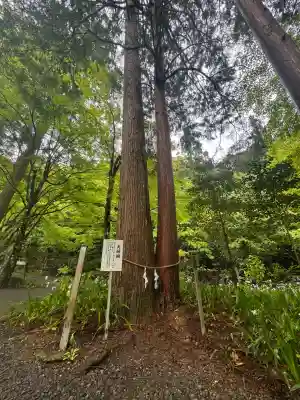 大矢田神社(岐阜県)