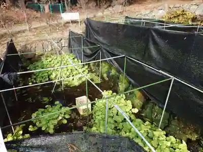 大滝神社(山梨県)