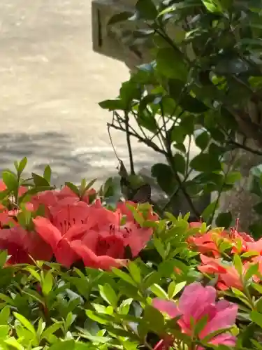 大船観音寺(神奈川県)