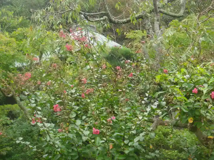 浄光明寺の自然