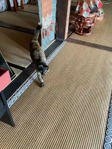 大仙寺(岐阜県)