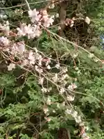 鹿島大神宮(福島県)