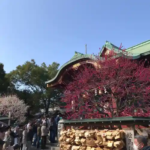 亀戸天神社の庭園