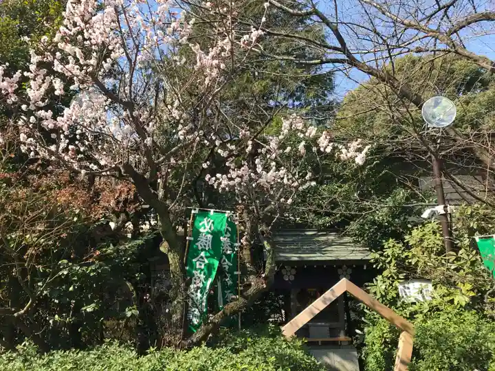 阿佐ヶ谷神明宮(東京都)