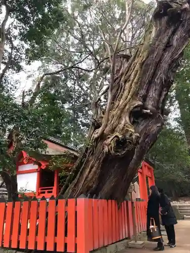 春日大社の自然