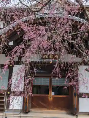 将軍塚青龍殿（青蓮院門跡）(京都府)