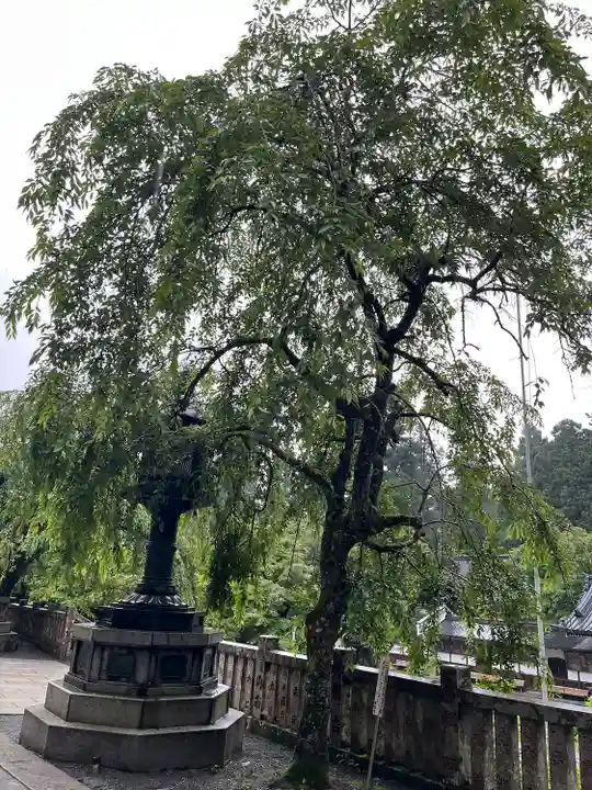 最乗寺(道了尊)(神奈川県)