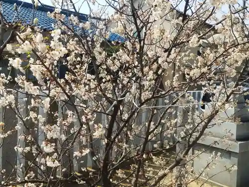 布忍神社(大阪府)