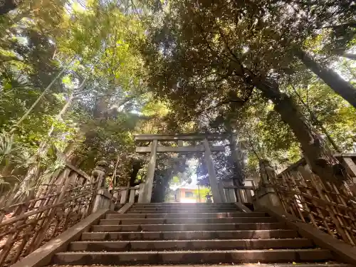渋谷氷川神社の{uncategorized: "未分類", other: "その他", undefined: "問題あり", building: "その他建物", grave: "お墓", sacred_gate: "鳥居", guardian: "狛犬", statue: "像", buddha: "仏像", history: "歴史", nature: "自然", garden: "庭園", animal: "動物", pagoda: "塔", temizu: "手水舎", mountain_gate: "山門・神門", sanctuary: "本殿・本堂", subordinate: "末社・摂社", art: "芸術", scenery: "景色", jizo: "地蔵", ema: "絵馬", goshuin: "御朱印", omikuji: "おみくじ", items: "授与品その他", amulet: "お守り", goshuincho: "御朱印帳", eats: "食事", festival: "お祭り", votive_dance: "神楽", shichigosan: "七五三参", wedding: "結婚式", experience: "体験その他", initially: "初詣", around: "周辺", anti_infection: "感染症対策"}