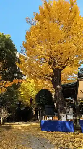 小野照崎神社の自然