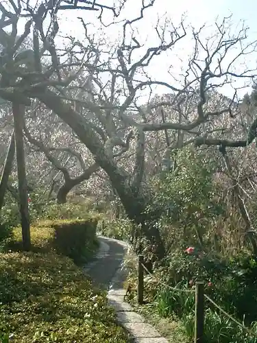 瑞泉寺の庭園