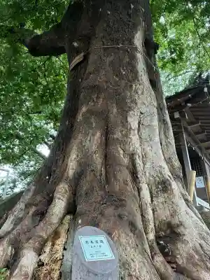 須賀神社の{uncategorized: "未分類", other: "その他", undefined: "問題あり", building: "その他建物", grave: "お墓", sacred_gate: "鳥居", guardian: "狛犬", statue: "像", buddha: "仏像", history: "歴史", nature: "自然", garden: "庭園", animal: "動物", pagoda: "塔", temizu: "手水舎", mountain_gate: "山門・神門", sanctuary: "本殿・本堂", subordinate: "末社・摂社", art: "芸術", scenery: "景色", jizo: "地蔵", ema: "絵馬", goshuin: "御朱印", omikuji: "おみくじ", items: "授与品その他", amulet: "お守り", goshuincho: "御朱印帳", eats: "食事", festival: "お祭り", votive_dance: "神楽", shichigosan: "七五三参", wedding: "結婚式", experience: "体験その他", initially: "初詣", around: "周辺", anti_infection: "感染症対策"}