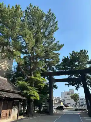 安久美神戸神明社(愛知県)