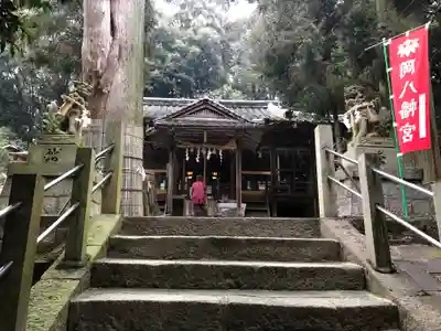 岡八幡宮の本殿・本堂