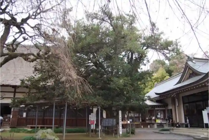 茂林寺のその他建物