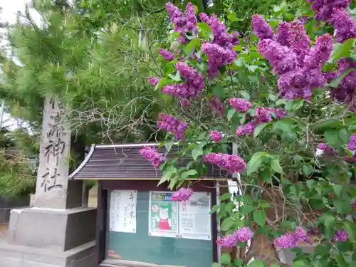 信濃神社の自然