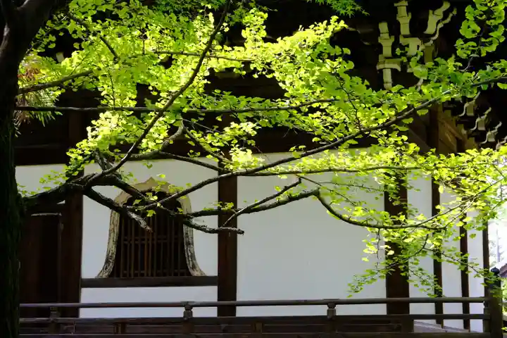 廣隆寺のその他建物