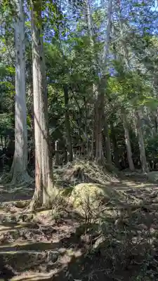 龍潭寺(京都府)