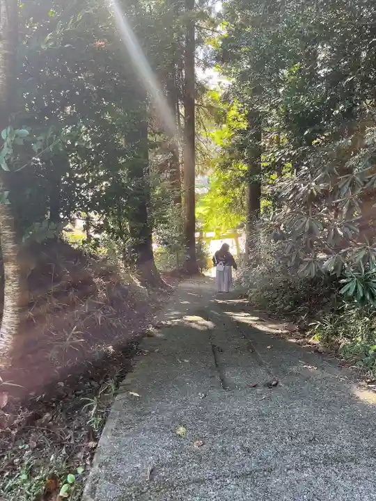 逢初天神社(宮崎県)