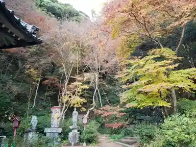 御橋観音寺の周辺
