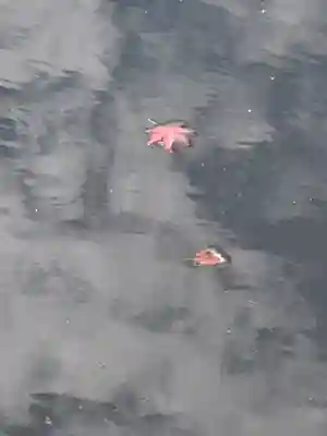 龍顔寺(長野県)