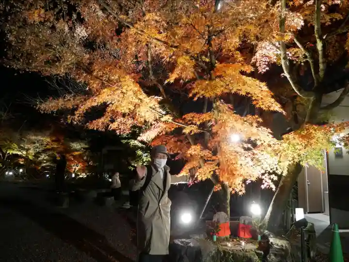 禅林寺(永観堂)(京都府)