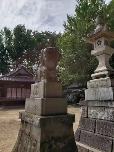 佐間天神社の狛犬