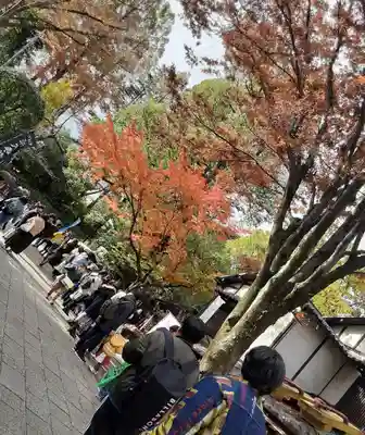 深大寺(東京都)