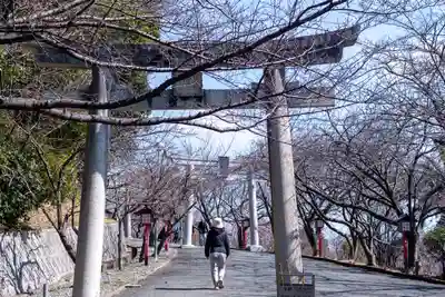 宮地嶽神社(福岡県)